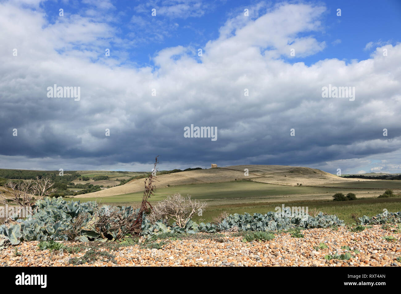 English countryside near Abbotsbury Dorset UK Stock Photo Alamy