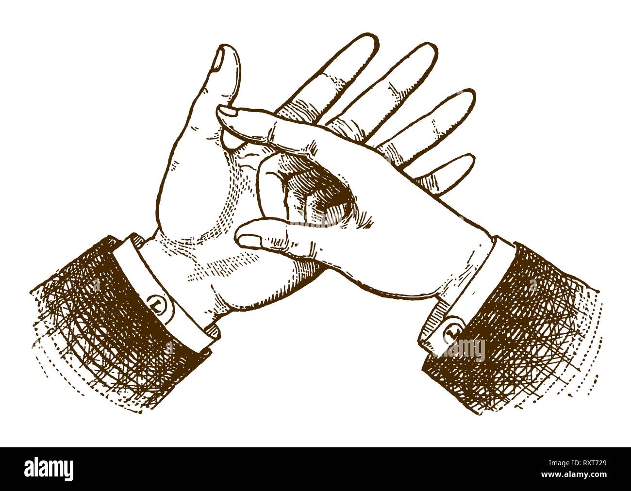 Gesture of two counting hands (after a historic engraving or etching from the 19th century) Stock Vector