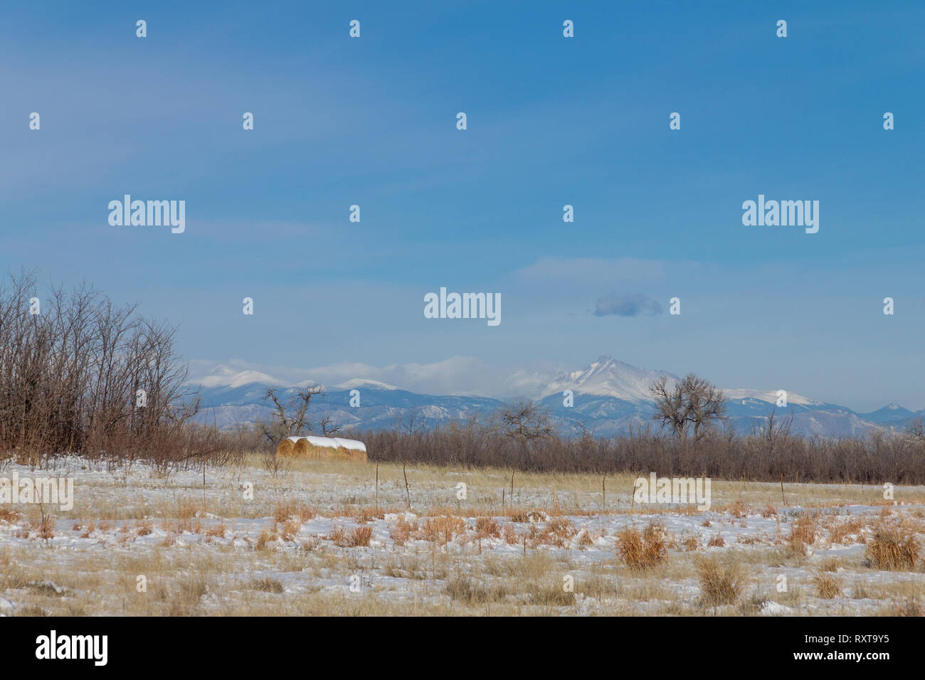Field and hay bale with Longs Peak in the background, from Rocky Mountain Arsenal, Colorado. Stock Photo
