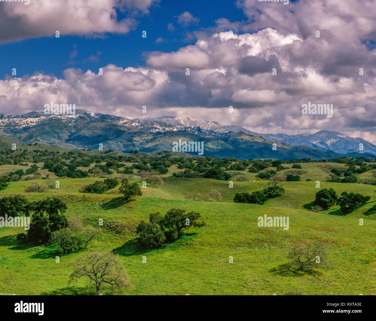 Spring Snow, Santa Ynez Mountains,  Los Padres National Forest, Santa Barbara County, California Stock Photo