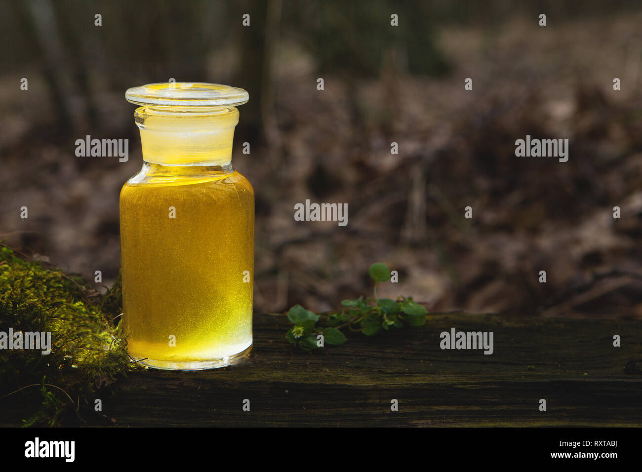 Herbal elixir natural medicines. Bottle of herbal extract natural