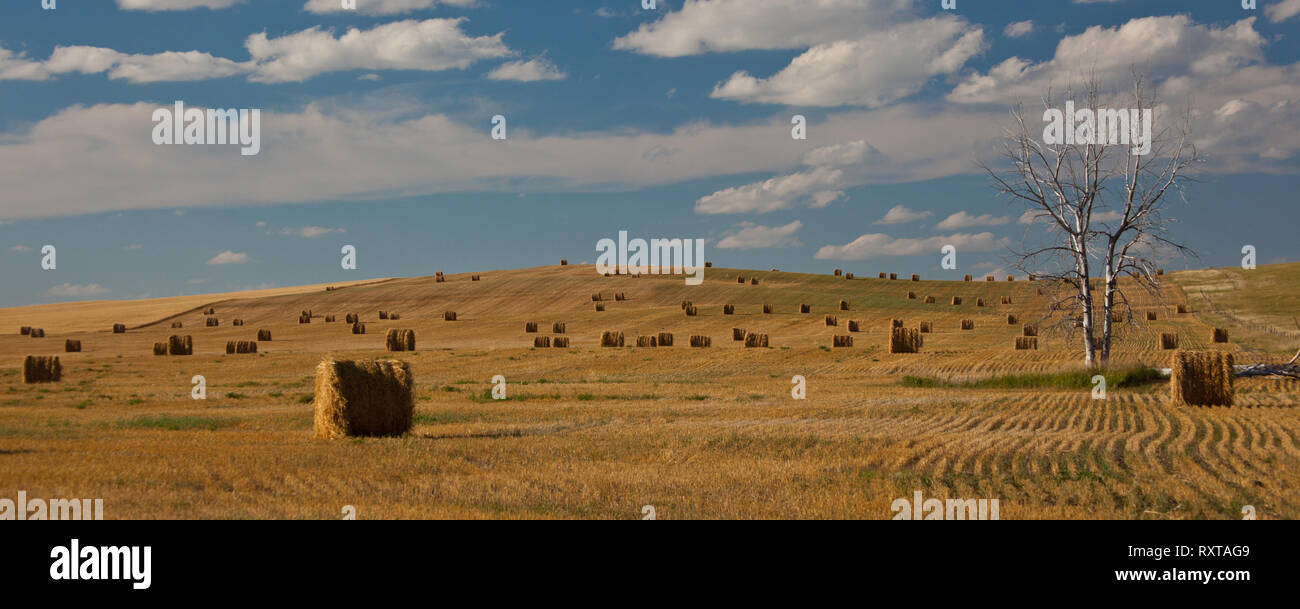 Dakota county hires stock photography and images Alamy