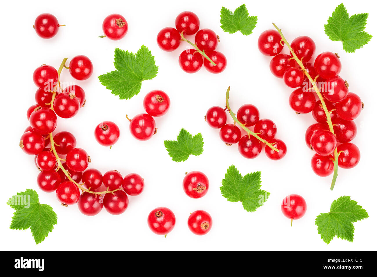 Red currant berry isolated on white background. Top view. Flat lay pattern. Stock Photo