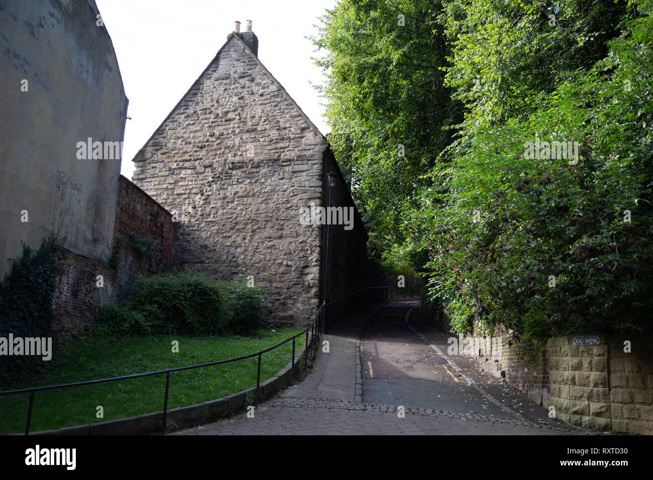 Dog bank newcastle hires stock photography and images Alamy