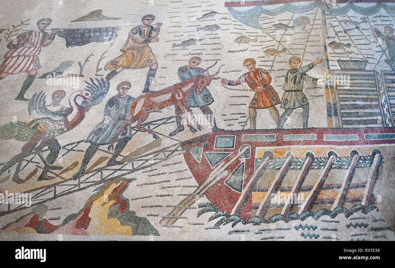 Ambulatory of the Great Hunt Roman mosaic, african animals are loaded ...