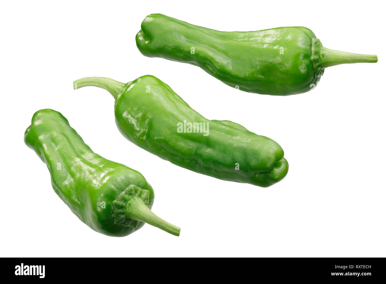 Shishito peppers (Capsicum annuum fruits), whole green pods Stock Photo