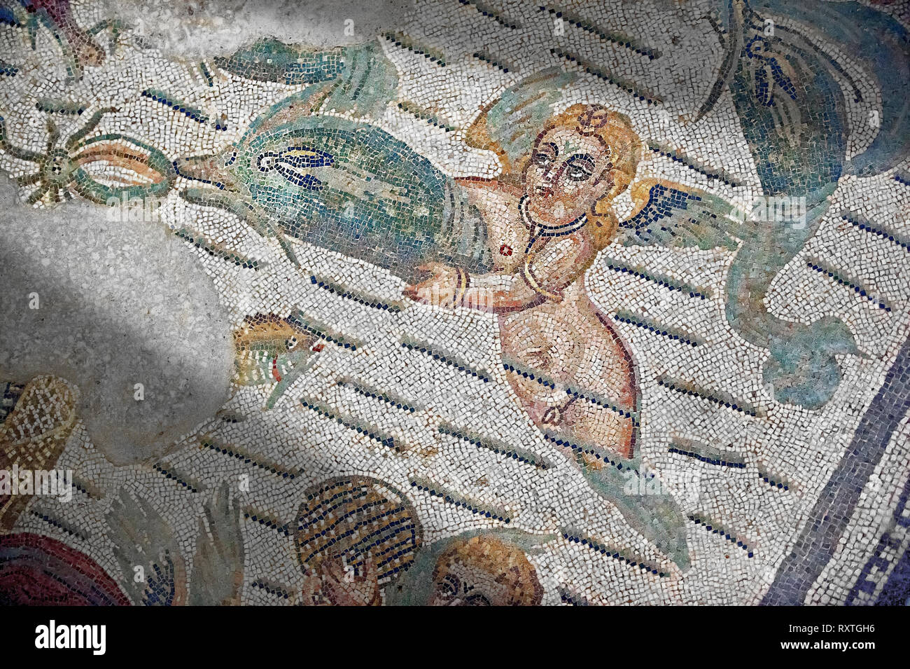 Cupids & dolphin Roman mosaic, room 24, at the Villa Romana del Casale, Sicily ,  circa the first quarter of the 4th century AD. Sicily, Italy. A UNES Stock Photo