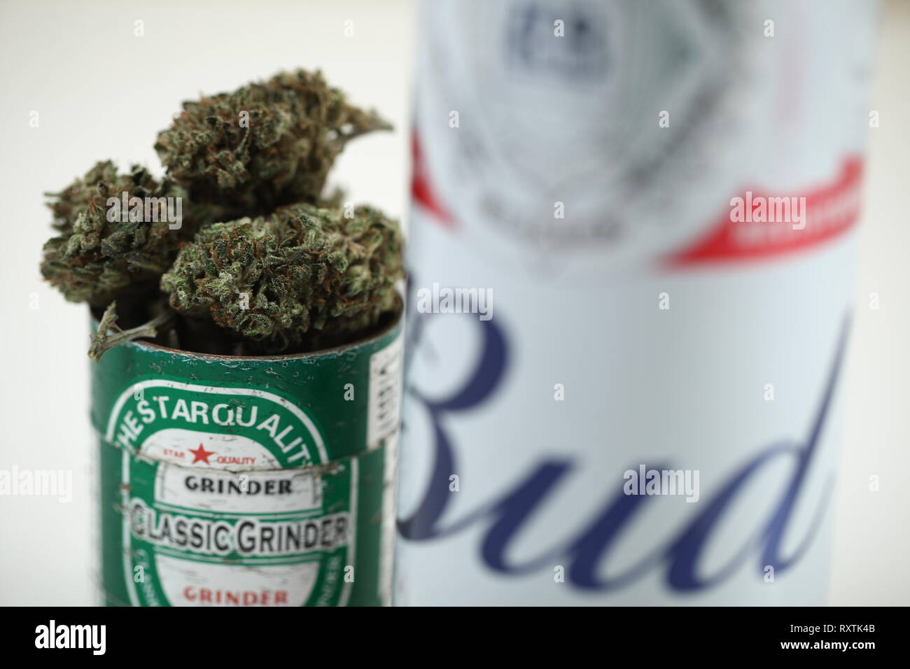 Belarus, Minsk, March ,10 :  Budweiser popular world quality beer and medical cannabis marijuana Stock Photo
