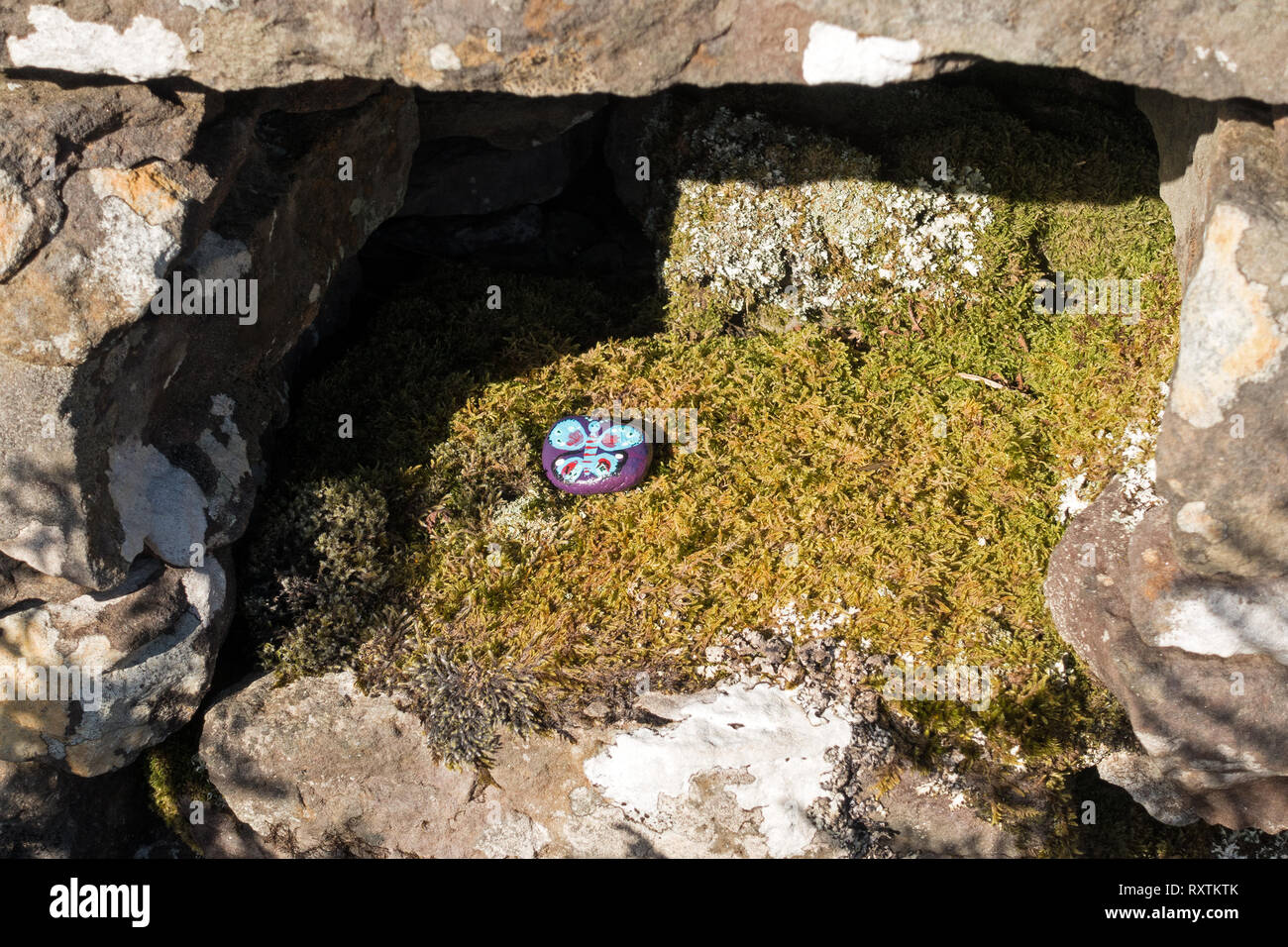 West Coast Painted Rock (#WCPR). One hidden and found painted and varnished pebble, Skye, Scotland, UK Stock Photo