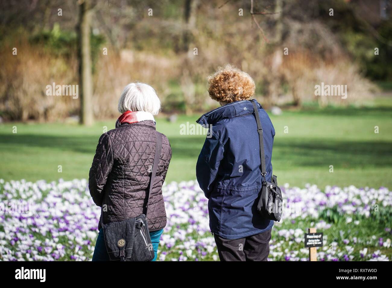 Women are seen looking at the bloomed flowers during a sunny day at the Botanical Gardens in Sheffield . Stock Photo