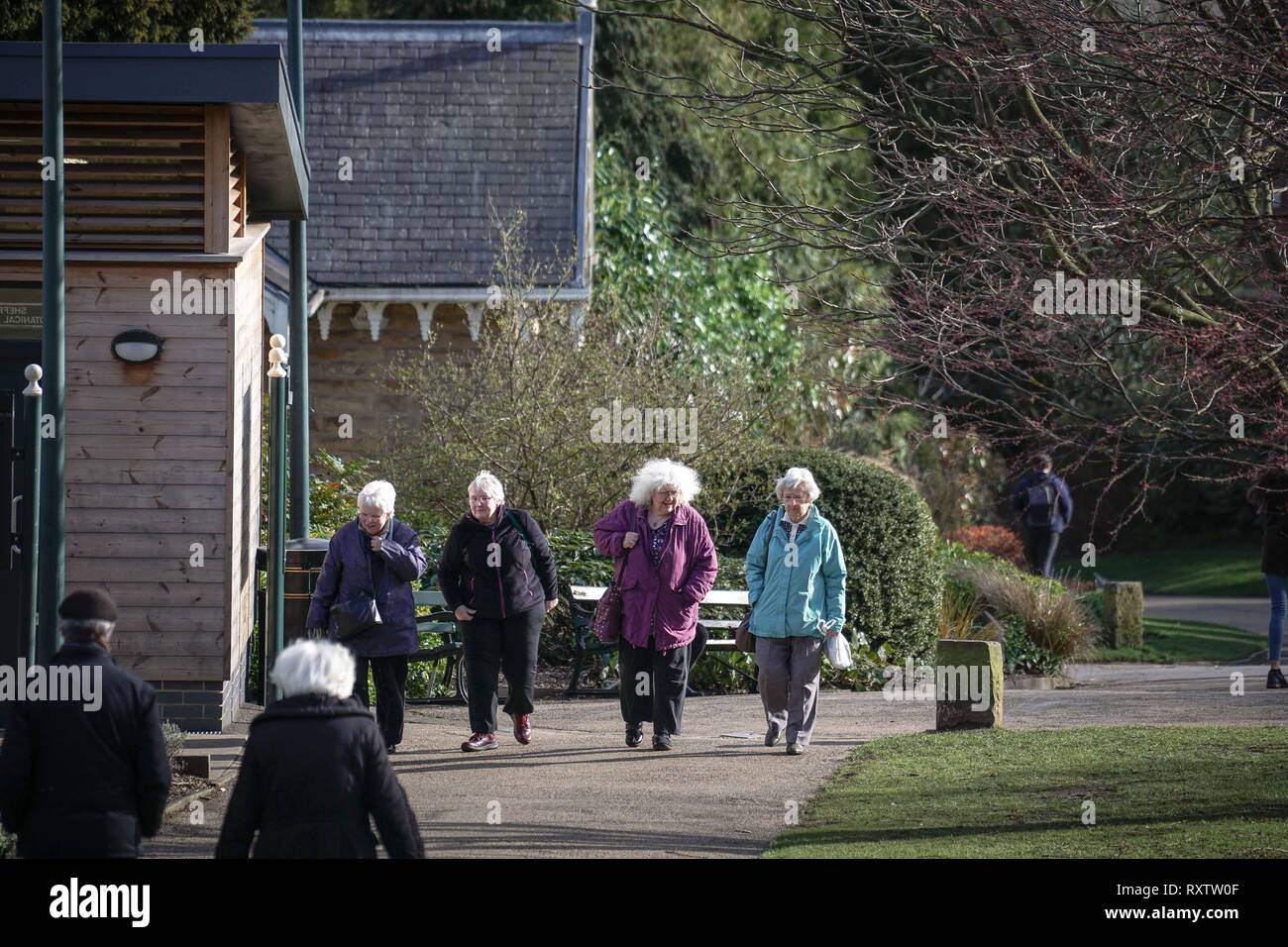 A group of elderly persons are seen walking through a pathway during a sunny day in Sheffield . Stock Photo