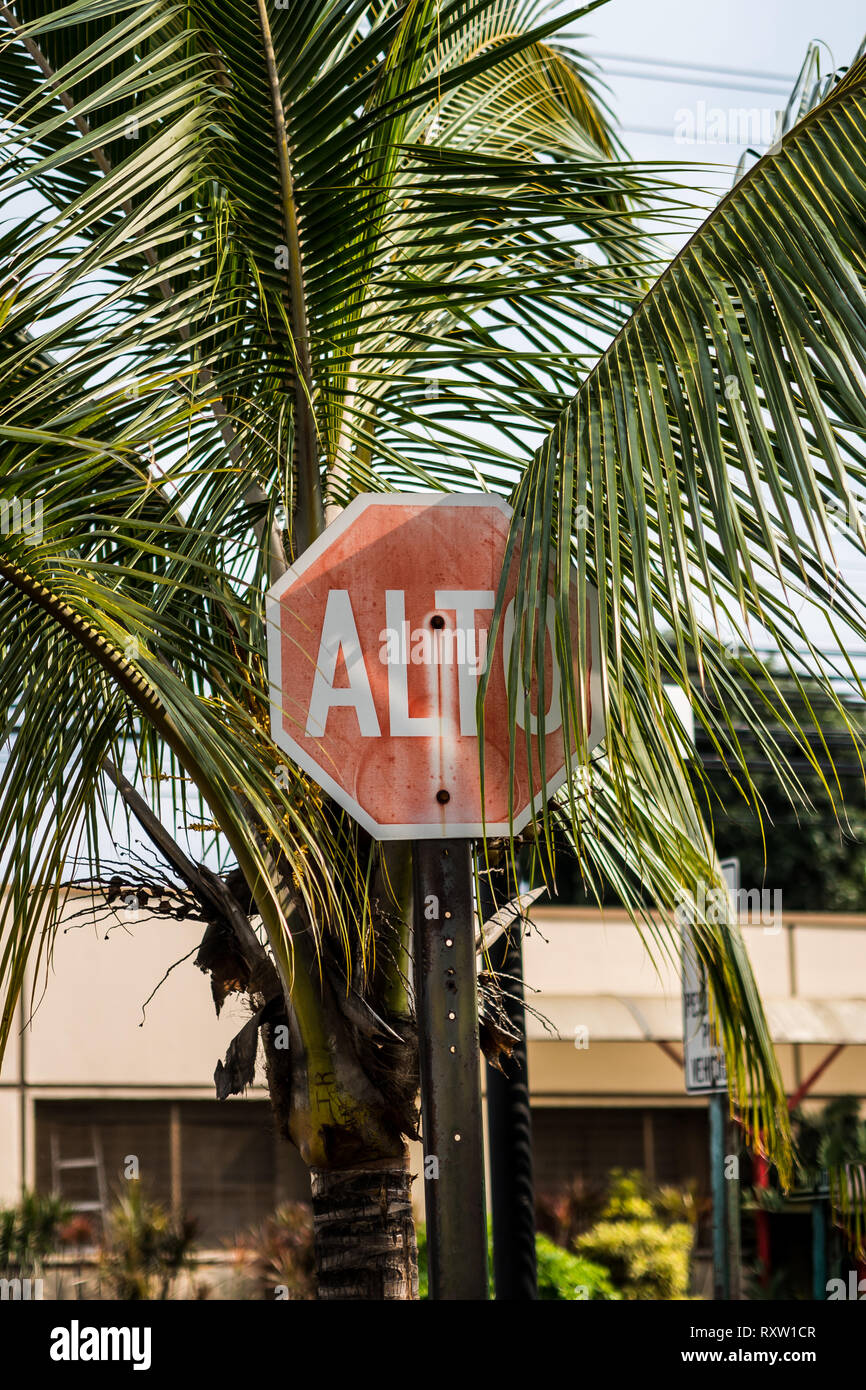 Stop sign in the streets of Costa Rica Stock Photo