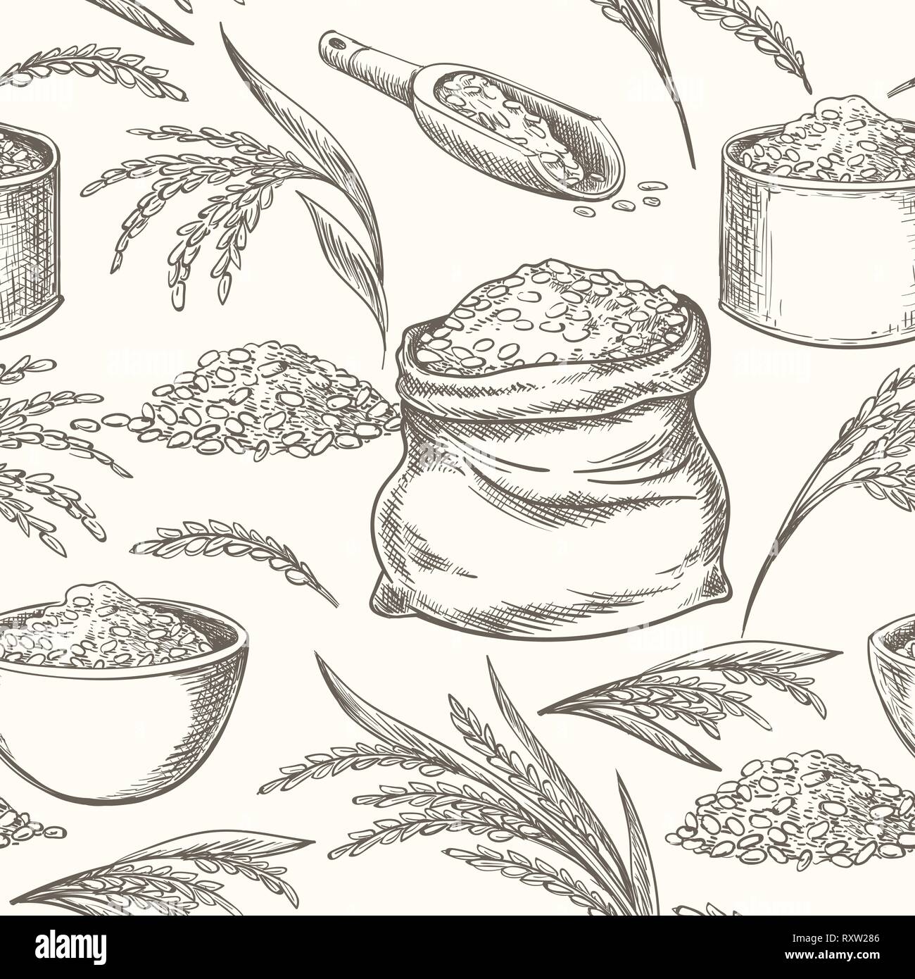 Rice doodle pattern. Wheat or rice hand drawn background, oats wild ear