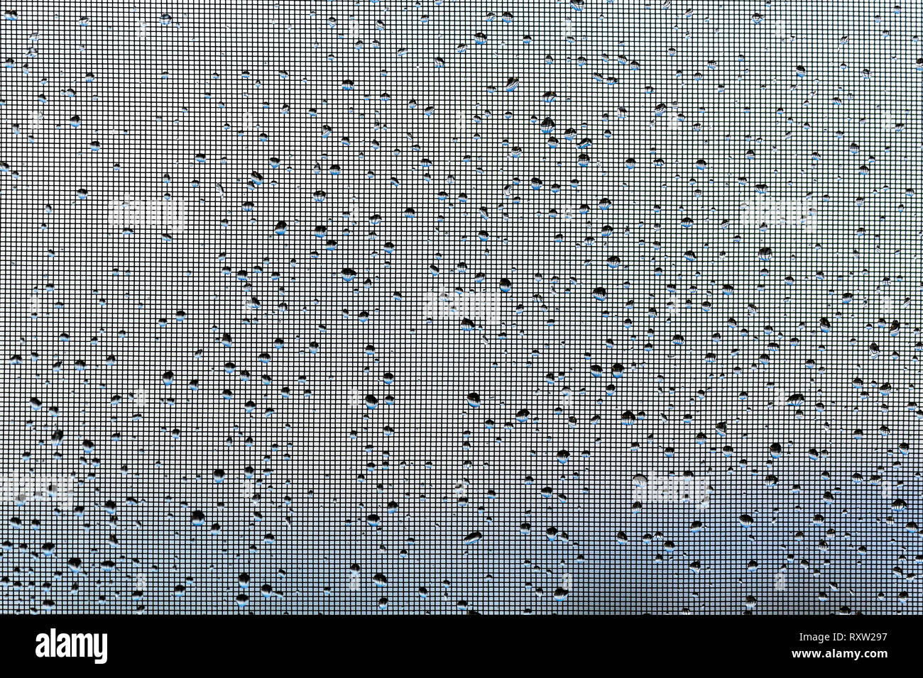 Raindrops on a window screen form an abstract background Stock Photo