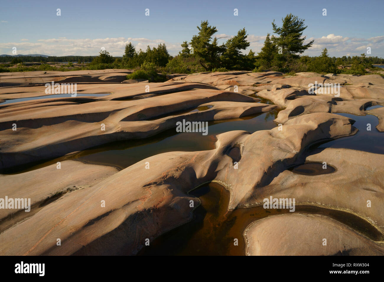 Longtitudinal patterns are striking in the heavily glaciated and ...