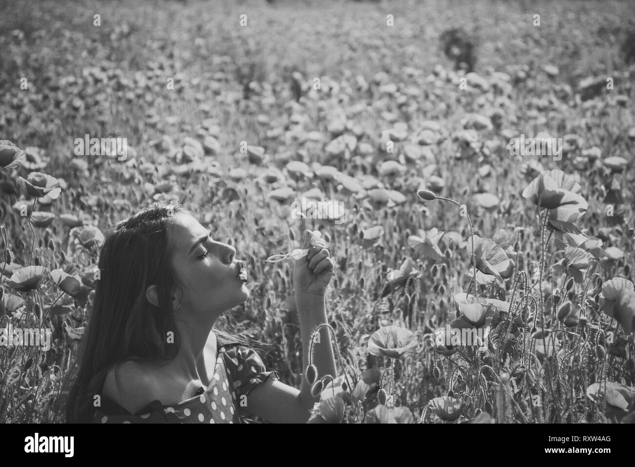Red wishes plant Black and White Stock Photos & Images - Alamy