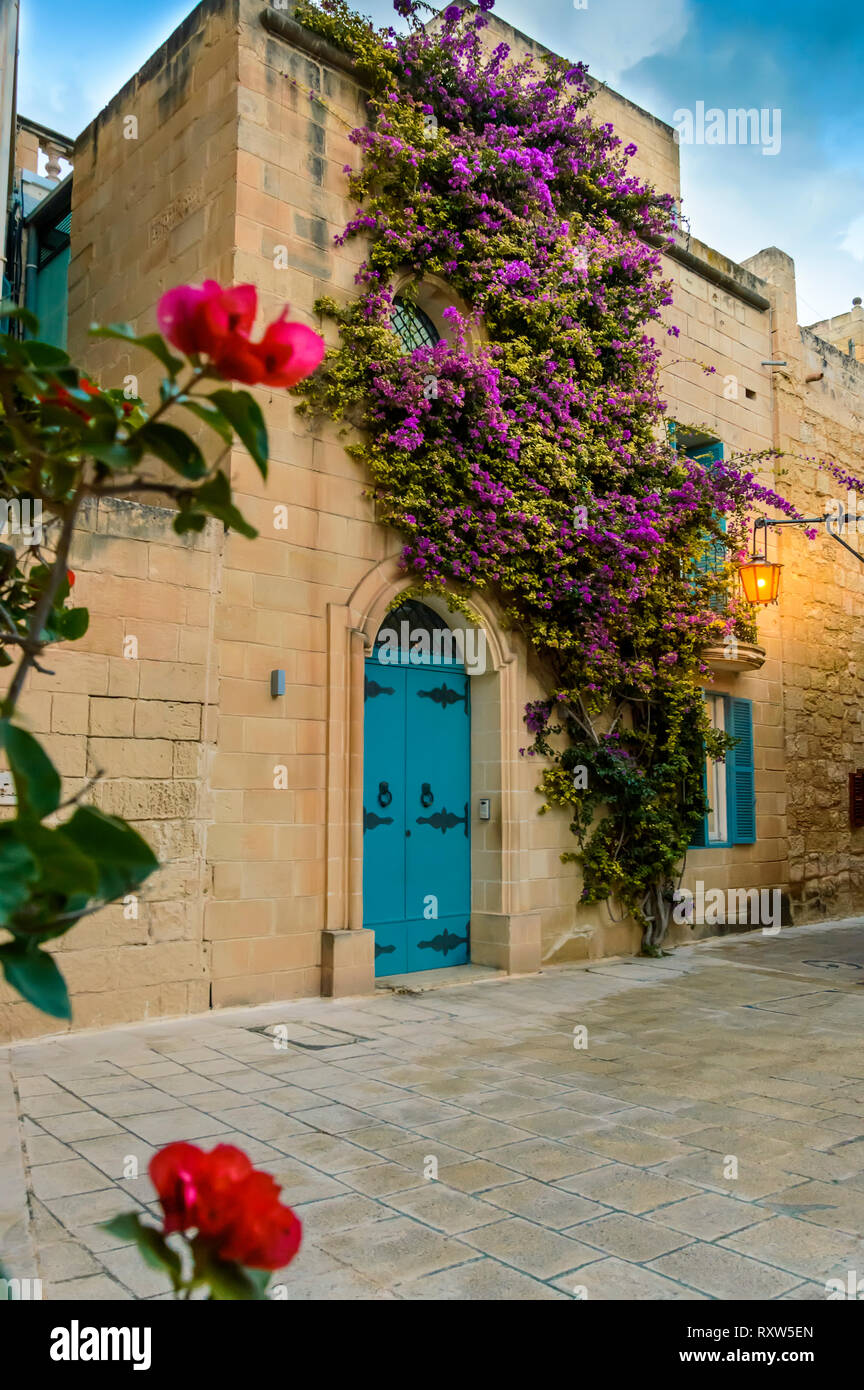 Mdina, Malta traditional Maltese house with artistic doors, bright