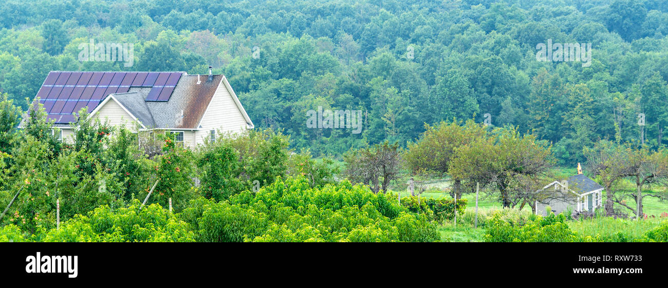 Image showcasing House In The Trees Stock Photo - Alamy