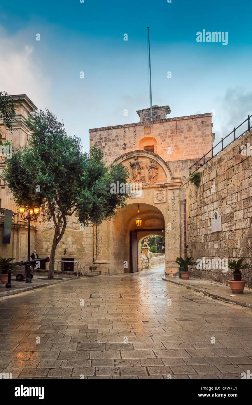 Mdina, Malta: Mdina Gate with cannons and tree as seen from St Publius