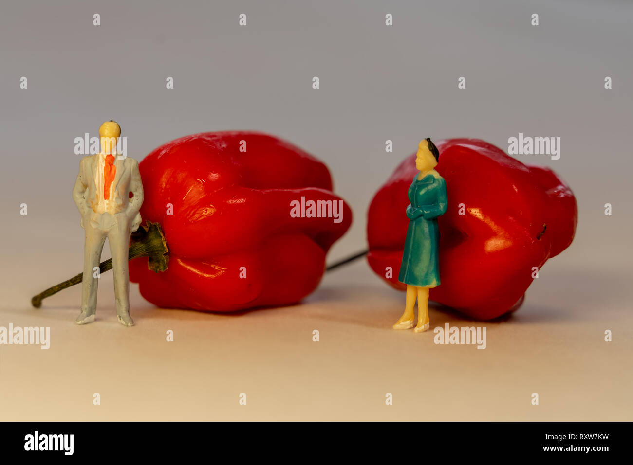 The miniature people man and woman standing in front of the red hot Habanero pepper. Family conflict concept Stock Photo