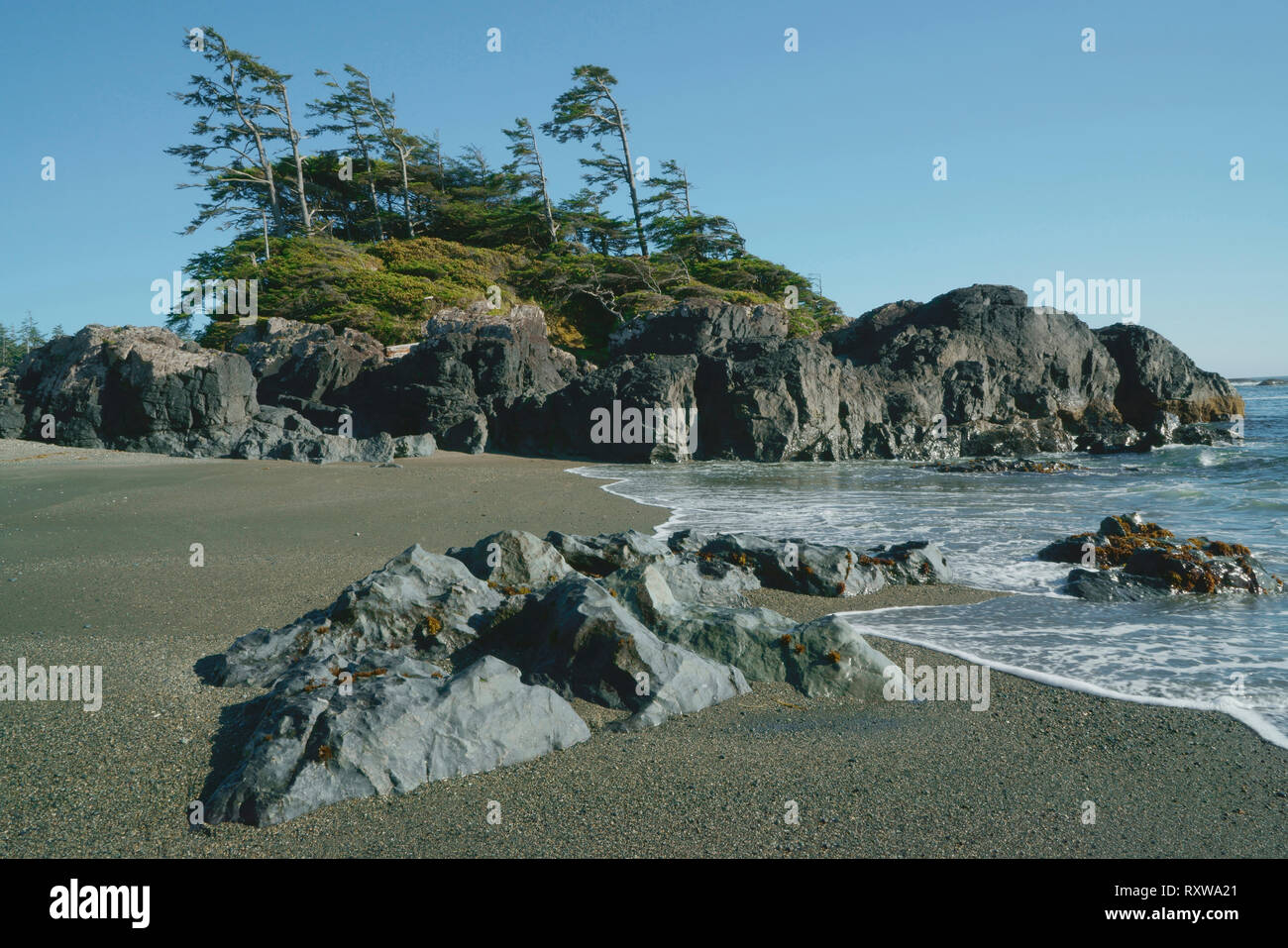 Vancouver island pacific rim national park hi-res stock photography and ...