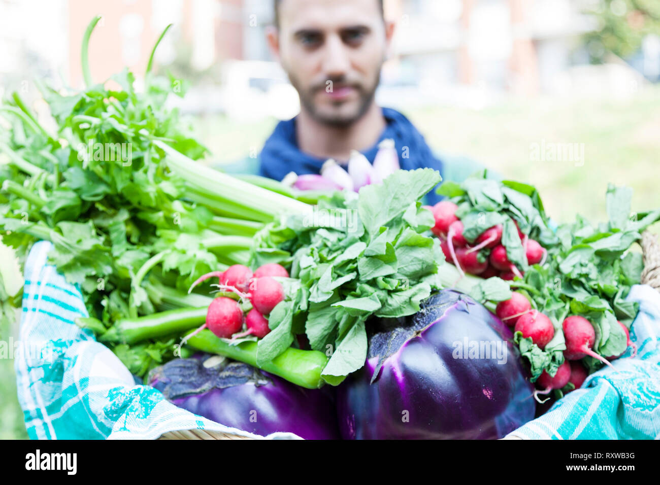 young farmer showing a basket of vegetables in his garden Stock Photo ...