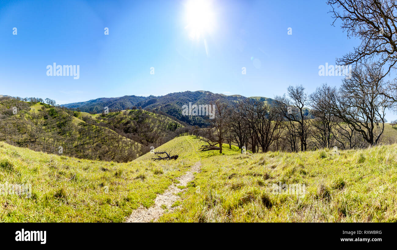 The rolling hills of Livermoore, California create a breathtaking landscape. Stock Photo