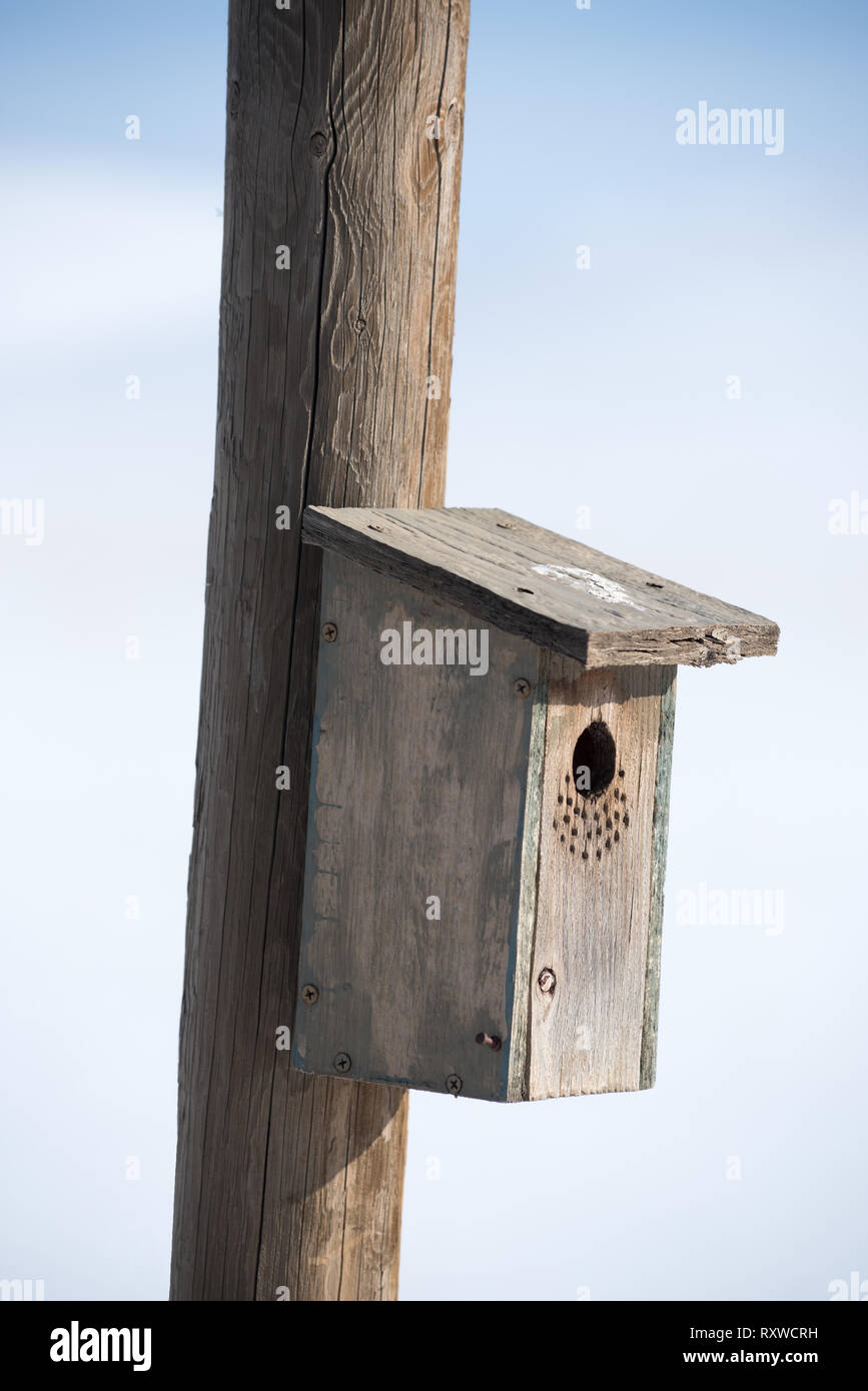 Birdhouse on a utility pole, Wallowa County, Oregon Stock Photo Alamy