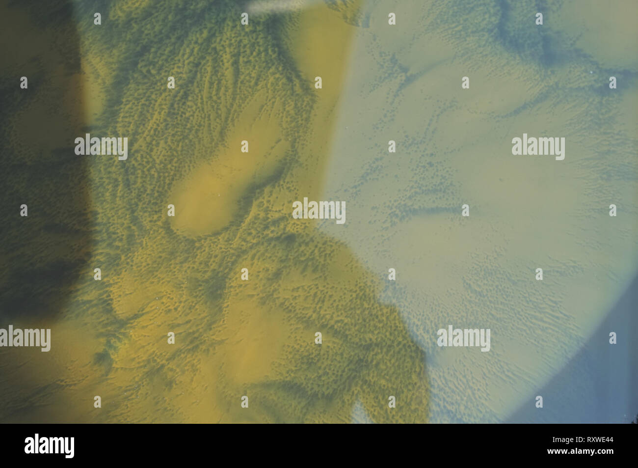 Indigo dyeing hi-res stock photography and images - Alamy