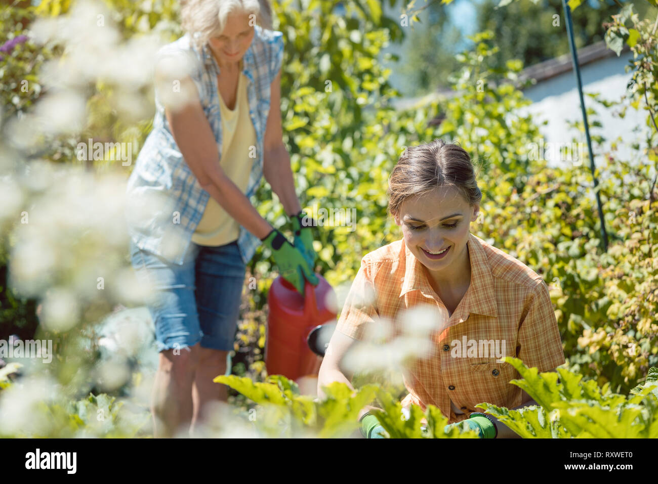 Old woman gardening hi-res stock photography and images - Alamy