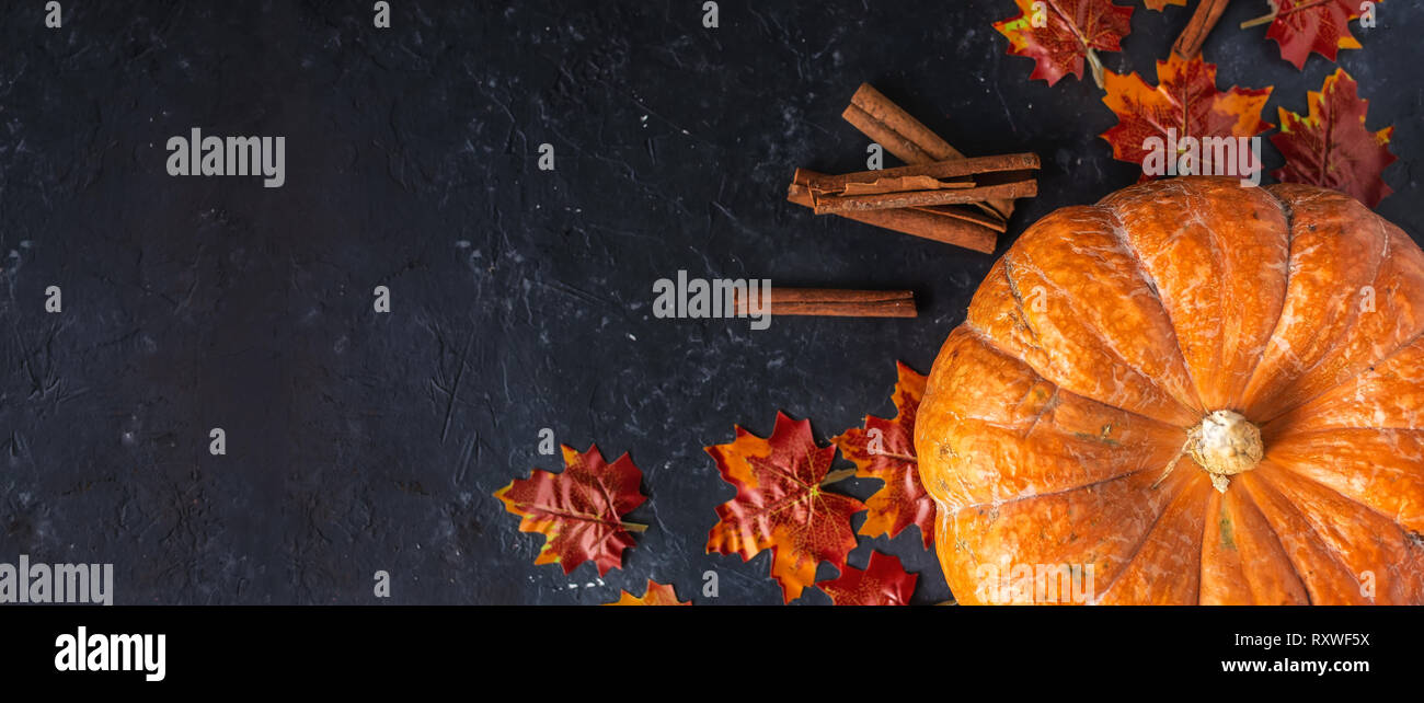 Autumn Concept Pumpkin Acorns Yellow Leaves Cinnamon On A Dark
