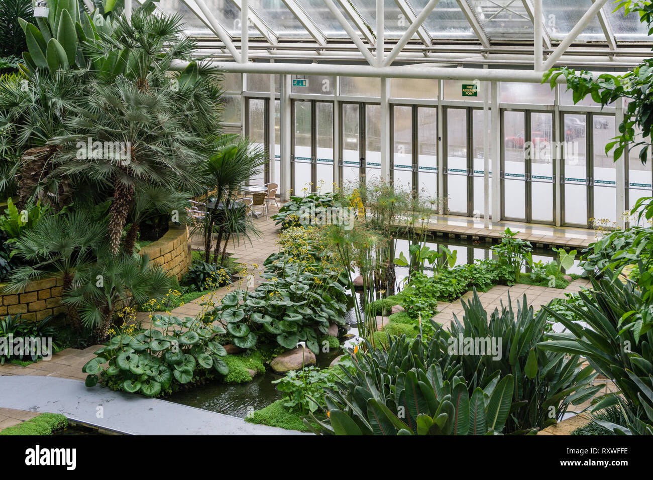 Tropical gardens under glass, part of  the Bannatyne Health Club and Spa, Milton Keynes, UK Stock Photo