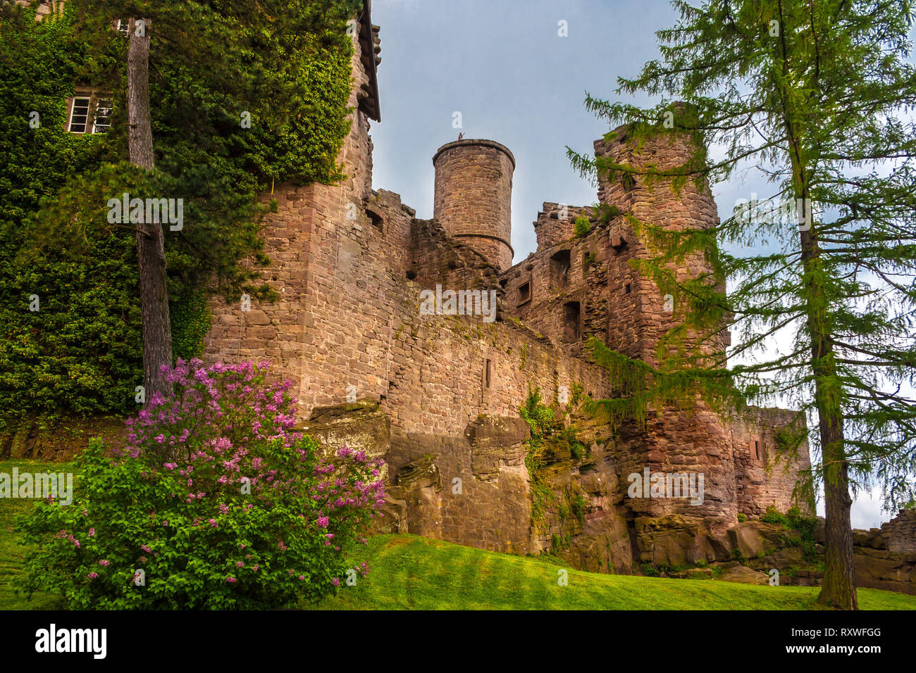 A very romantic view of the Hanstein Castle surrounded by flowers trees and a lawn. The ruined castle in Central Germany near Bornhagen in Thuringia... Stock Photo