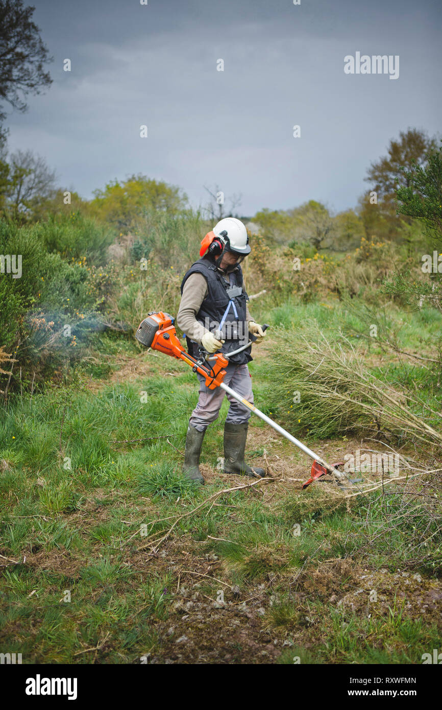 The Canut Valley (Brittany, north-western France): natural site managed by the Ille-et-Vilaine department. Worker, cleaner, with a brush cutter Stock Photo