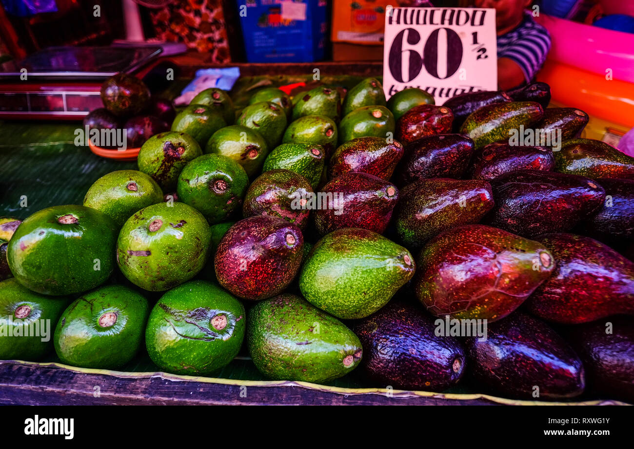 Avocado fruits for sale at local market in Manila, Philippines Stock