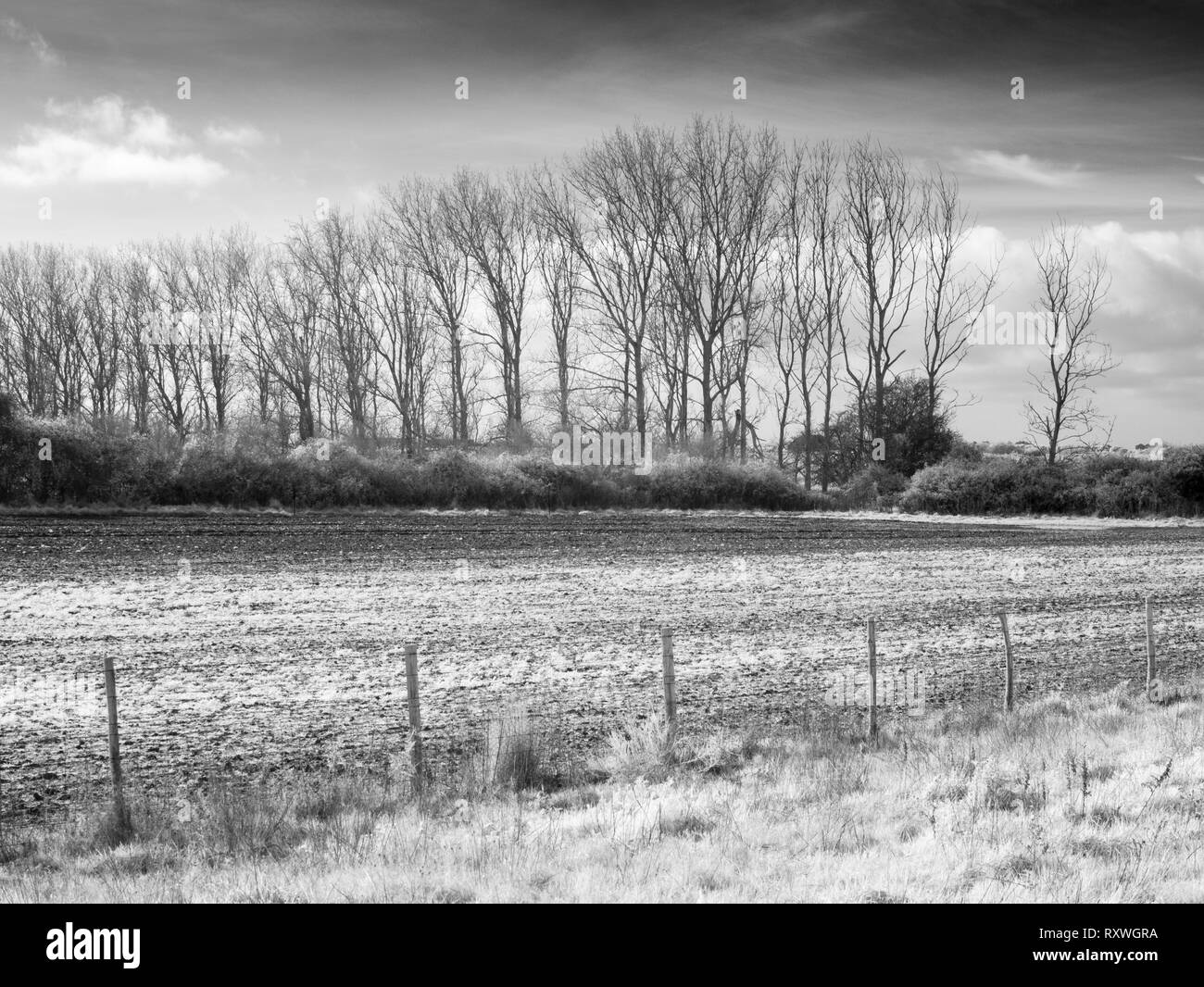 An infrared image of farmland at Medmerry Nature Reserve, West Sussex, England. Stock Photo