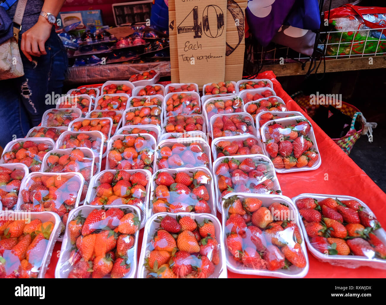 Manila, Philippines Apr 12, 2017. Red strawberry fruits at rural