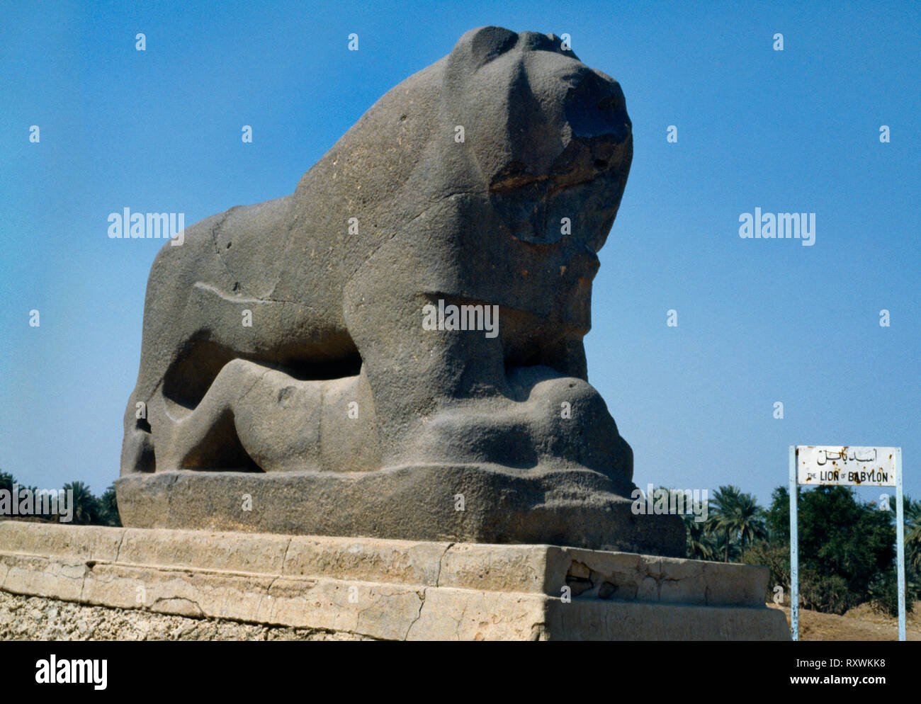 The Lion of Babylon, 90km SW of Baghdad, Iraq, March 1983 during Iran-Iraq War: 2m long, black basalt, carved in reign of Nebuchandnezzar II 605-562B. Stock Photo