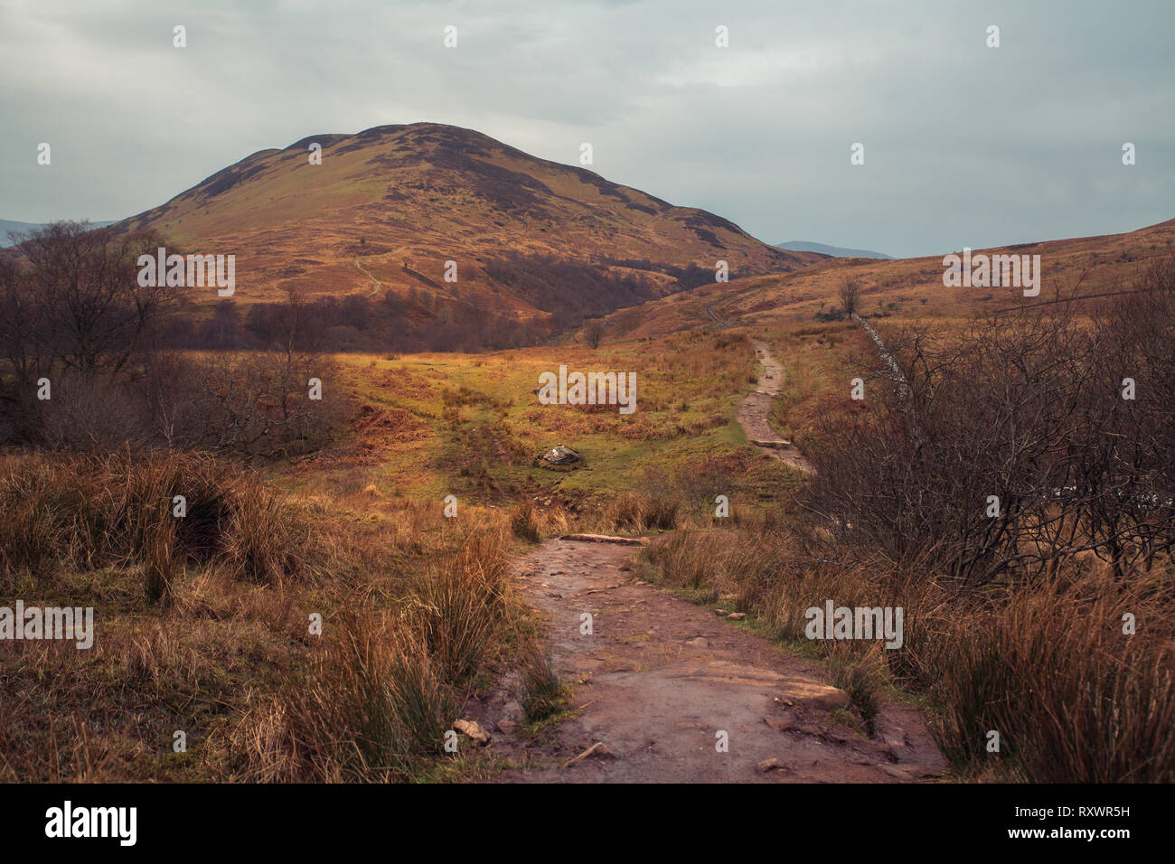 The West highland Way leading to Connic Hill in Scotland Stock Photo