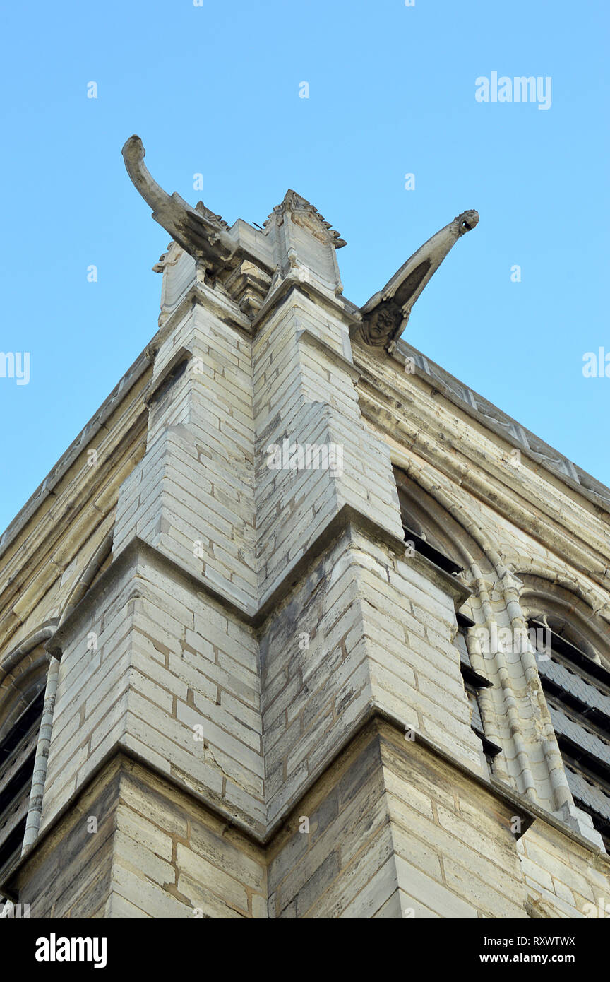 Gargoyles on the Roman Catholic church of SaintSeverin in the Latin
