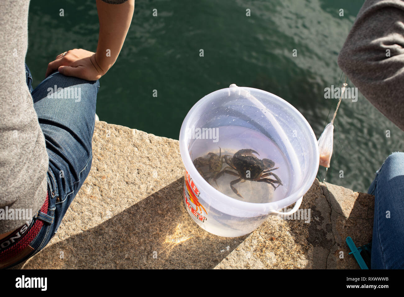 A shot of crabbing in Salcombe estuary during the summer. Stock Photo