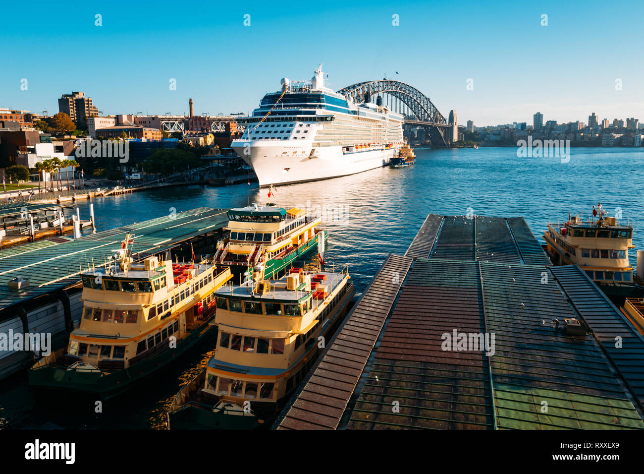 A Cruise Ship docks in the Rocks in Circular Quay, Sydney, Australia Stock Photo Alamy A Cruise Ship docks in the Rocks in Circular Quay, Sydney, Australia Stock Photo Alamy