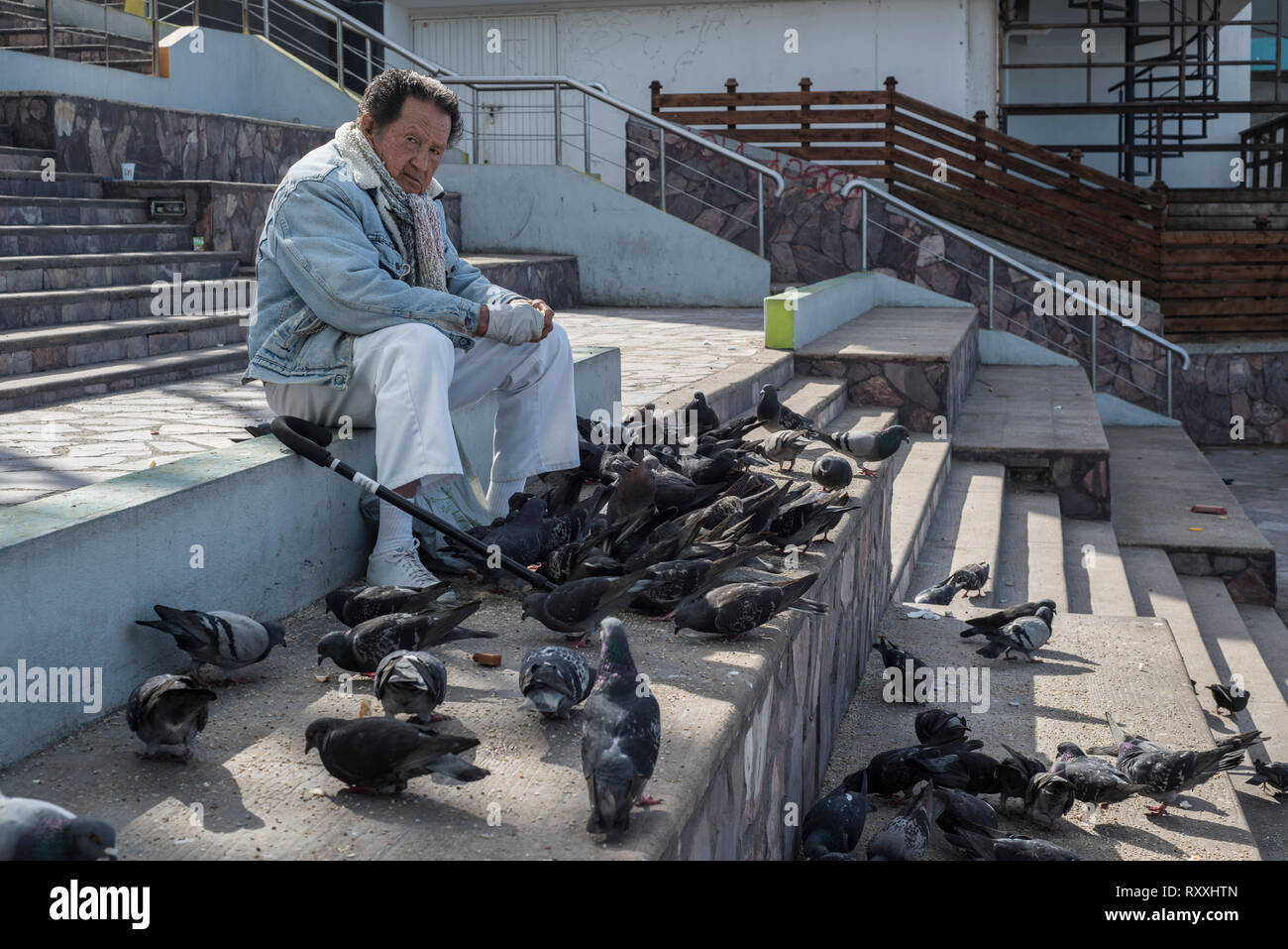 Old man feeding the pigeons right at the border site in Tijuana, Mexico. Stock Photo