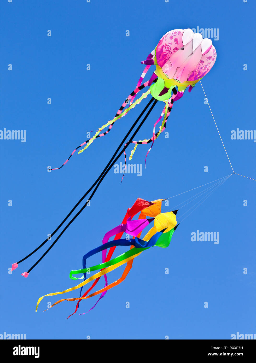 Brightly coloured and very elaborate kites against a blue sky, Holland Point Park, Victoria, British Colombia, Canada Stock Photo