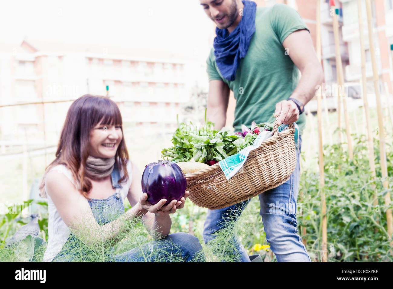 Young man vegetables basket hi-res stock photography and images - Alamy