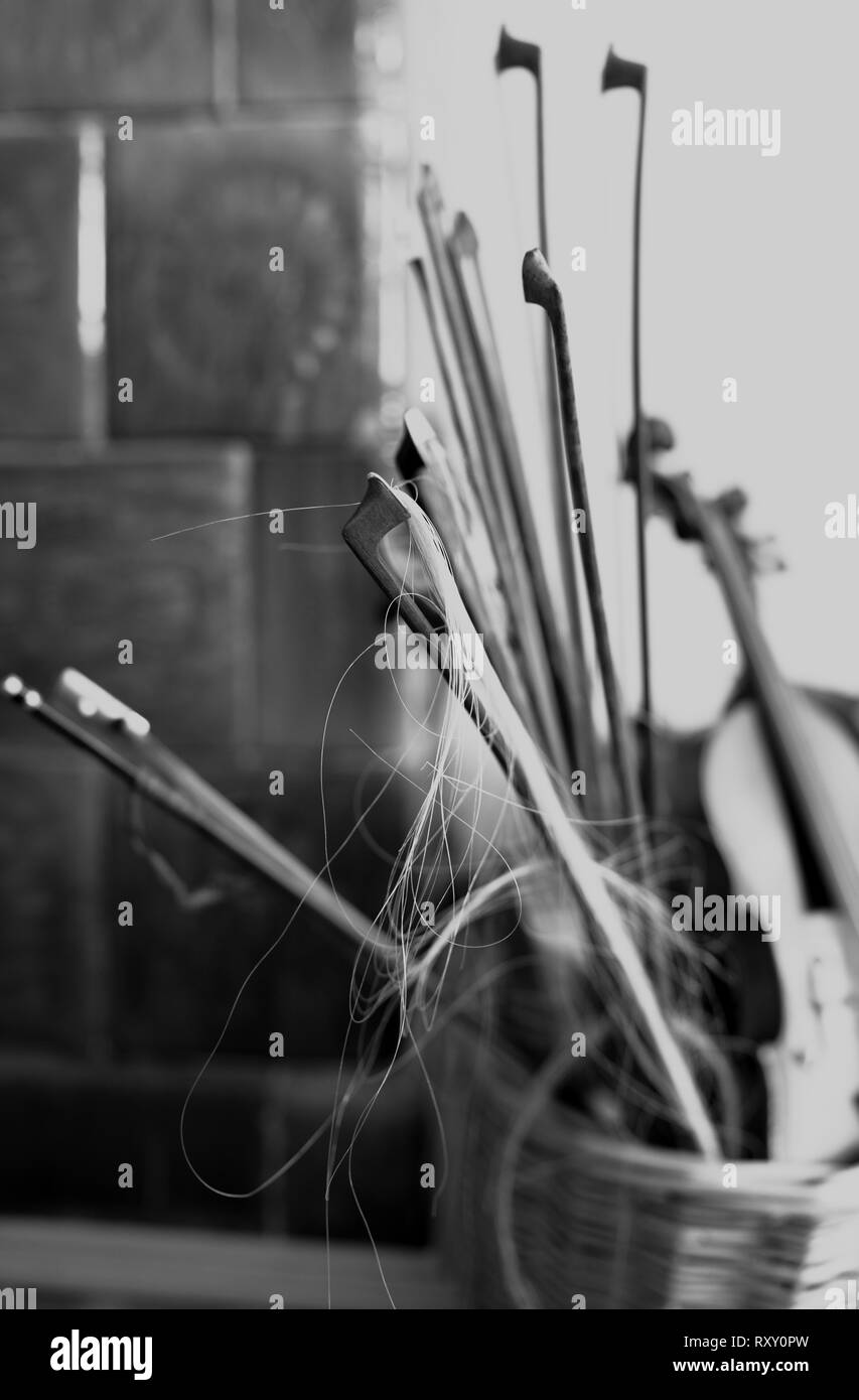 Old violin with many broken bows in a wooden bucket near the oven in black and white Stock Photo