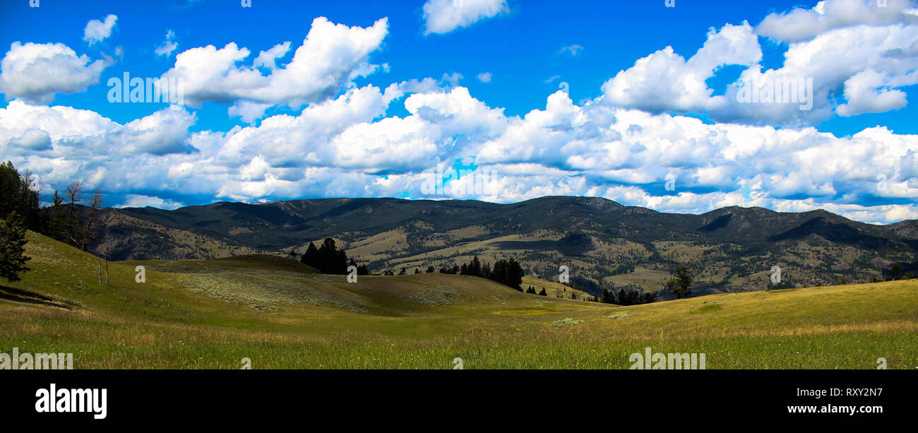 Yellowstone Scenic Vista Stock Photo