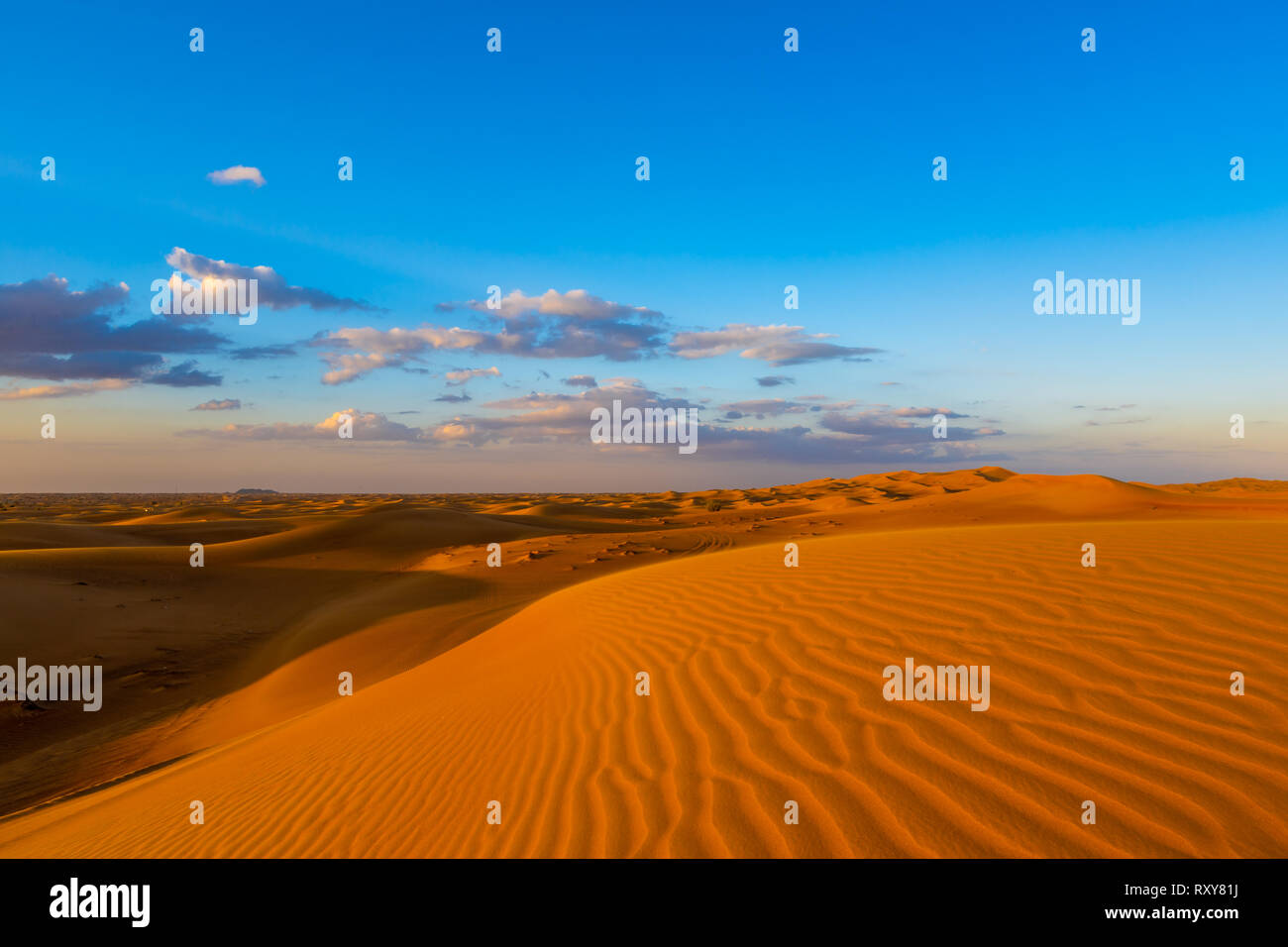 Sand dunes in the desert of Dubai, United Arab Emirates Stock Photo - Alamy