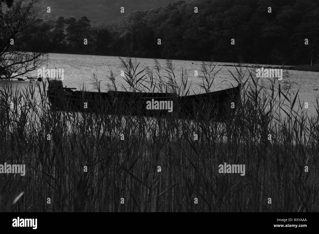 Killarney Black and White Stock Photos & Images Alamy