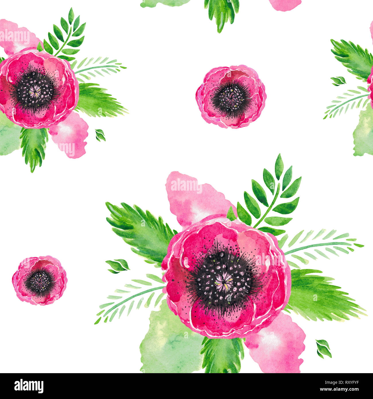 Watercolor illustration of red flowering poppies stem green leaves ...